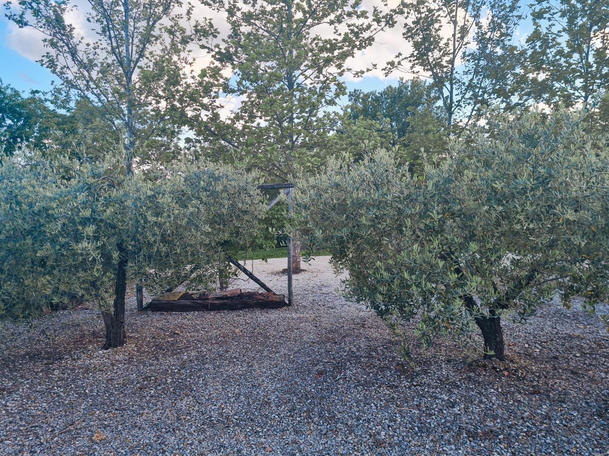 La Mela Rosa Bed & Breakfast Amandola Exterior foto